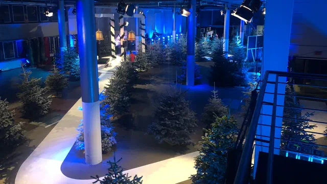 König der Kindsköpfe - Der Biathlon